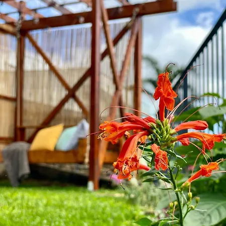Infinity Horizon By Go2madeira Apartman
