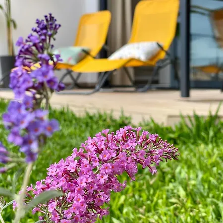 Apartman Infinity Horizon By Go2madeira
